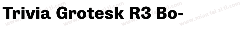Trivia Grotesk R3 Bo字体转换
